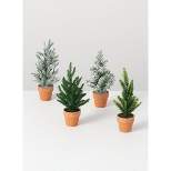 Sullivans Set of 4 Artificial Mini Potted Tree Set 9"H Green