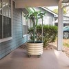 Vego Garden Self-Watering Rolling Dragon Fruit Outdoor Planter Pot with Trellis 24"x24"x60" - 2 of 3
