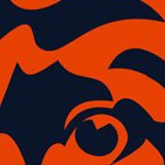 chicago bears