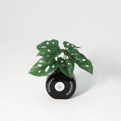 Luckygreenery Mini Faux Monstera Plant in Record Planter