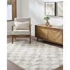 Hauteloom Belita Tan Luxe Shag Area Rug - 3 of 4