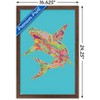Trends International Jim Baldwin - Lily Shark Framed Wall Poster Prints - 3 of 4