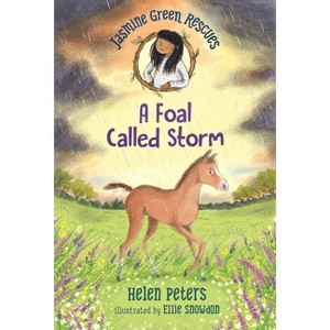 Jasmine Green Rescues: A Foal Called Storm - by  Helen Peters (Paperback) - 1 of 1