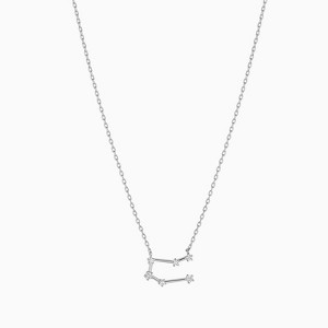 Bearfruit Jewelry Constellation Necklace - 12 Zodiac Constellation - 1 of 4