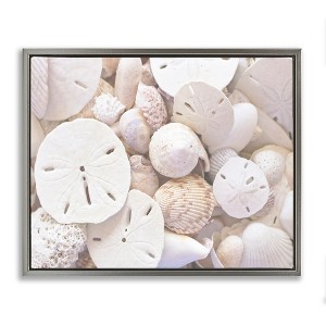 Stupell Industries White Mixed Sand Dollar Shells Floating Frame Canvas Art, Gray, 21" x 17" - 1 of 4