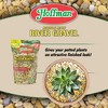 Hoffman Natural Marble Maze River Gravel Decorative Soil Cover for Potted or Bedded Plants, 2 Dry Quarts - 3 of 4