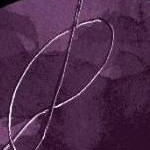 clear push pins bundle