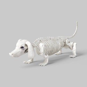 5" Dachshund Skeleton Halloween Decorative Prop - Hyde and EEK! Boutique™ - 1 of 3