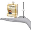 Old World Christmas Blown Glass Ornament for Christmas Tree, Diploma - 3 of 4