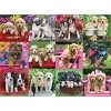 Ravensburger Puppy Pals Jigsaw Puzzle - 500pc - 2 of 2