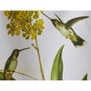 TAG Hummingbird Yellow Flower Dishtowel Set - Summer Kitchen Towels Cotton Machine Wash 1 - 2 of 2