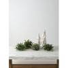 Sullivans Artificial White Spruce 1/2 Orb 8"H Green - 2 of 2