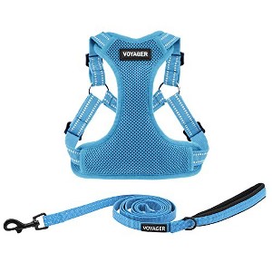Voyager Step-In Flex All-Weather Adjustable Dog Harness & 5' Leash Set - 1 of 4