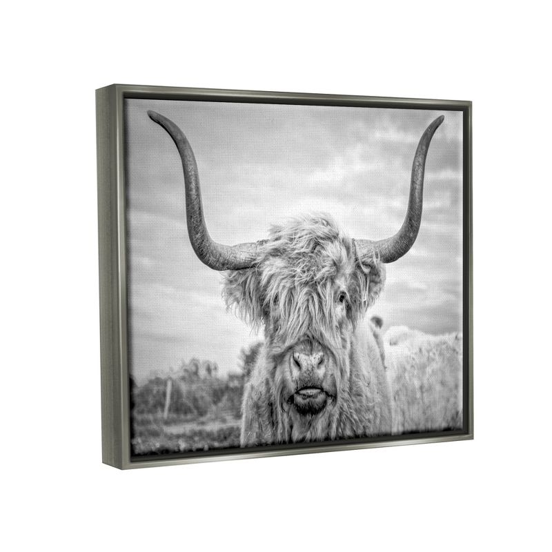 Stupell Industries Black and White Highland Cow Photograph, 4 of 7
