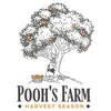Juniors Winnie the Pooh Bear Farm Harvest Season Fruit Sketch T Shirt - 2 of 3