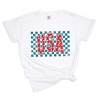 Simply Sage Market USA Checkered Stars Garment Dyed Tee - 2 of 4