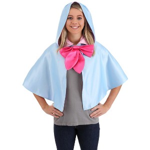 HalloweenCostumes.com  Women Disney Fairy Godmother Hooded Women's Capelet, Blue/Pink - 1 of 4