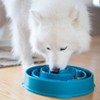 Chewy Review – Outward Hound Fun Feeder Interactive Dog Bowl