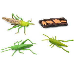 Collectible Wildlife Gifts | Grasshopper, Life Cycle of a  Locust, 3 Stages, Museum Quality, Hand Painted, Rubber Insect, Gift,   3"  CH483 BB150 - 1 of 4