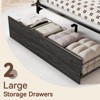 Furnulem Full Size LED Light Bed Frame with Storage Headboard and USB Ports Bed Platform with Drawers RGB Lights - 3 of 4
