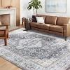 Vintage Distressed Washable Area Rug - Low Pile Non-Slip Foldable Carpet Retro Printed Stain Resistant Soft Indoor Rug for Living Room Bedroom - 3 of 4