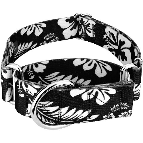 Hawaiian 2024 dog collars