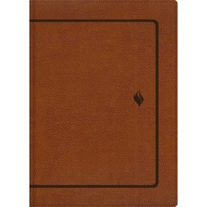 Rvr60, Biblia de Estudio de la Vida Plena, Edición Clásica, Leathersoft DOS Tonos Café, Palabras de Jesús En Rojo, Comfort Print - (Leather Bound) - 1 of 1