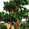 Nearly Natural 4-ft English Ivy Topiary Artificial Tree in White Oval Planter, UV Resistant (Indoor/Outdoor) - 3 of 4