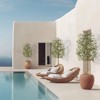 Faux Olive Tree Artificial Indoor, Fake Olive Tree,Tropical Faux Potted Silk Plant with Realistic Trunks, Adjustable Branch and Fruits - 3 of 4