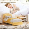 Coucheta Upholstered Bed Frame with LED Lights, Storage Drawer & Headboard,Velvet Platform for Kids, No Box Spring Needed - 4 of 4