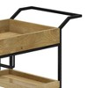 Lintz Bar Cart Natural - WyndenHall: Beverage Serving Station with Glass Racks, Mango Wood & Iron - 3 of 4