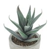Unique Bargains Artificial Plants Mini Serrated Edge Aloe in Pulp Plastic 3.54"x3.54"x4.72" 1Pcs - 4 of 4