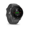 Garmin Forerunner 255 - Slate Gray : Target