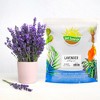 Soil Sunrise Lavender Potting Soil Mix, Container Gardening Blend for Herb Plants - 2 of 4