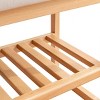 23.6" Beech Wood Shoe Bench with Cushion and 2-Tier Storage Shelf for Entryway or Bedroom - 3irtyhousy - 3 of 4