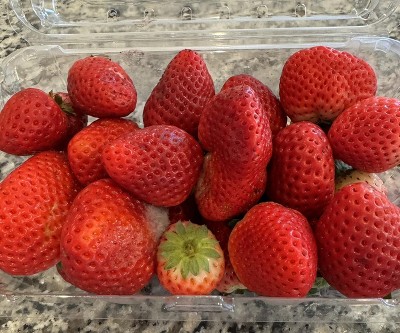 Guest review image 1 of 1, zoom in