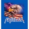 Americana Freedom Eagle Men's Short Sleeve Tee - 2 of 2