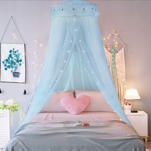 YEERSWAG Versatile Bed Canopy Bed Curtain Net For Single to King Size Best Gift For Girls - 1 of 4
