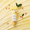 Round Lab Korean Skincare Vita Niacinamide Dark Spot Cream with Vitamin C for Skin Clarity and Radiance | 50ml (1.69 fl.Oz) - 4 of 4