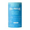 Vital Proteins Collagen Peptides Unflavored Powder - 2 of 4