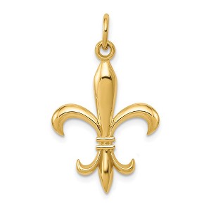 Black Bow Jewelry 14k White or Yellow Gold 2D Fleur De Lis Pendant, 18mm (11/16 inch) - 1 of 4