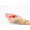 Collectible Wildlife Gifts | Frog,  Red Strawberry Poison Dart Frog, Plastic Toy, Realistic, Rainforest, Model, Gift,     3"    F4094 B54 - 3 of 4