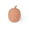 Large Terracotta Pumpkins Orange - Bullseye's Playground™ - 2 of 3