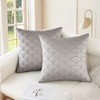 REGALWOVEN Velvet Solid Decorative Scallop Texture Modern Pillowcases 2 Pcs - 2 of 4