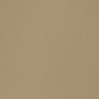 dark khaki