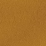 sam wilson captain america