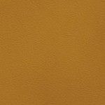 sam wilson captain america