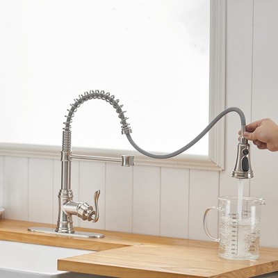 Brushed Nickel Single-Handle Pull-Down Sprayer Kitchen Faucet