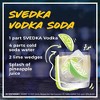 SVEDKA Vodka - 1.75L Bottle - image 3 of 4