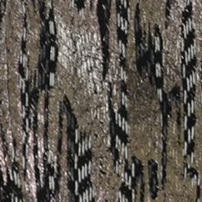 multicolored-gray